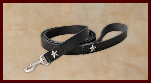 Bubba Black Leather Dog Leash-Large