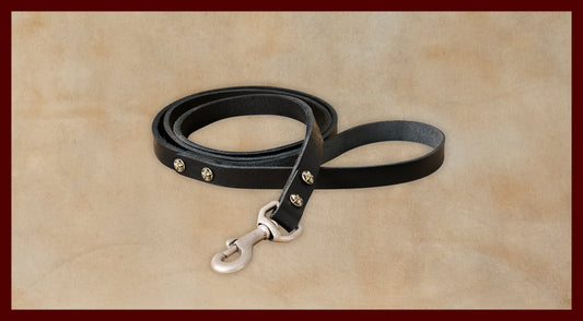 Bubba Black Leather Dog Leash-Small