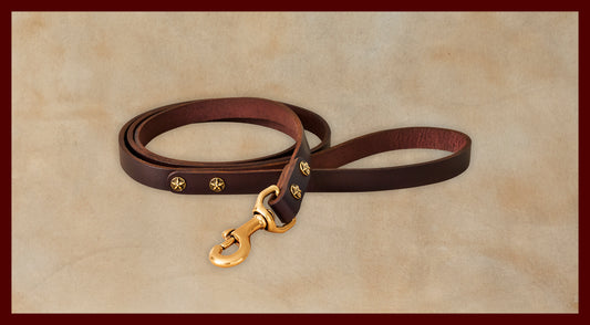 Bubba Dark Brown Leather Dog Leash-Small