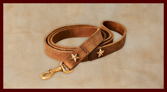 Bubba Chestnut Leather Dog Leash-Large