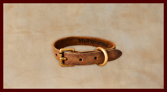 Old Boy Chestnut Dog Collar-Small