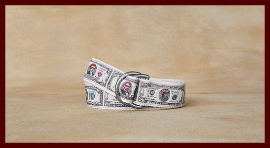 Sarge Funny Money Novelty Pattern D-Ring Belt