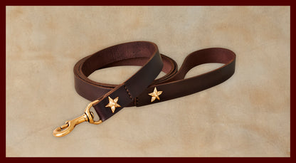 Bubba  Dark Brown Leather Dog Leash-Large