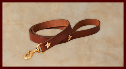 Bubba Medium Brown Leather Dog Leash-Large