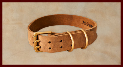 Old Boy Chestnut Dog Collar-Large