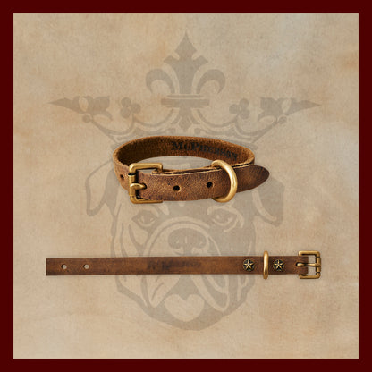 Old Boy Chestnut Dog Collar-Small