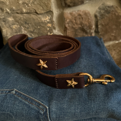Bubba  Dark Brown Leather Dog Leash-Large